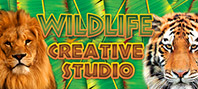 The Wildlife Creative Studio
